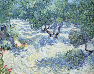 Olive Orchard, June 1889 by Vincent Van Gogh