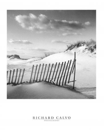 The Color of Dreams by Richard Calvo