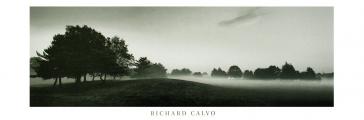The Mist by Richard Calvo