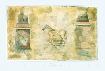 Zebra by Sokol - Hohne