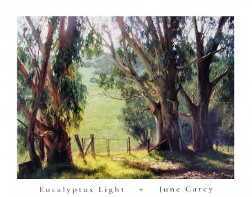Eucalyptus Light by June Carey