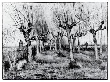 Birch Wood with a Flock of Sheep Vincent Van Gogh