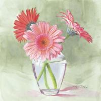 Coral Gerbera by Mary Kay Krell