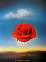 The Rose, 1958 by Salvador Dali