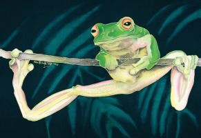 Hang On Frog by Kim Michelle Toft