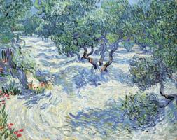 Olive Orchard, June 1889 by Vincent Van Gogh
