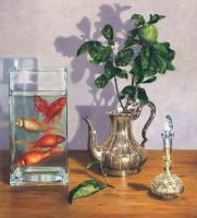 A Visit From Gold Fish by Anna Rubin