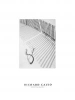Snowfence and Branch by Richard Calvo