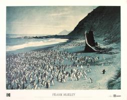 Penguins on the Beach at the Nuggets and the Remains of  the Gratitude, 1913