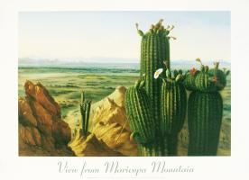 View from Maricopa Mountain near the Rio Gila 1855 by Henry Cheever Pratt