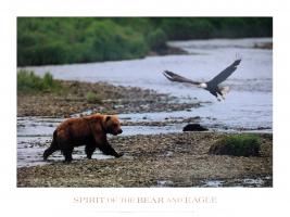 Spirit of the Bear and Eagle by Kennan Ward