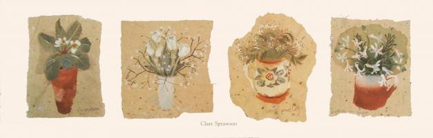Flowers by Clare Sprawson