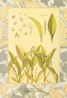 Lily of the Valley by Eugene Grasset