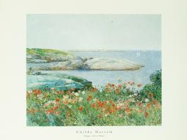 Poppies, Isles of Shoals, 1891 by Childe Hassam