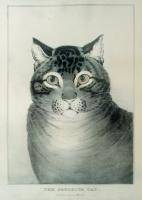 Currier & Ives: The Favorite Cat, 1840-50 by Nathaniel Currier