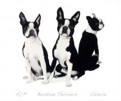 Boston Terriers by Valerie