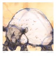 White Rhino by John Olsen