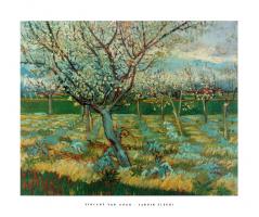 Jardin Fleuri (Olive Trees) by Vincent Van Gogh